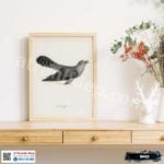 Tranh Canvas chim đại đỗ quyên - B019 - Ảnh 4