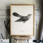 Tranh Canvas chim đại đỗ quyên - B019 - Ảnh 3