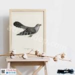 Tranh Canvas chim đại đỗ quyên - B019 - Ảnh 2
