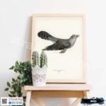 Tranh Canvas chim đại đỗ quyên - B019