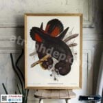 Tranh Canvas chim vẹt - B018 - Ảnh 3