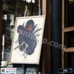Tranh Canvas chim vẹt - B018 - Ảnh 2