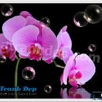 Tranh trang trí hoa lan tím - FL021 - Ảnh 2