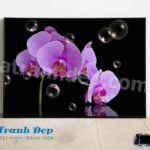 Tranh trang trí hoa lan tím - FL021