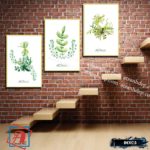 Bộ 3 tranh canvas treo tường Decor Hoa lá phong cách scandinavian - DC075