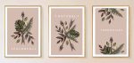 Bộ 3 tranh canvas decor phong cách minimalist, trừu tượng hiện đại - AR101 - Ảnh 3