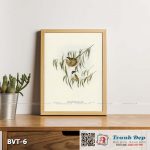 Tranh canvas vintage - Chim ăn mật (Melithreptus lunulatus) - BVT-6