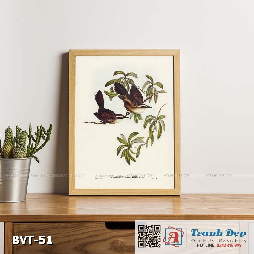 BVT-51-ATD Tranh canvas vintage - Họa mi đất mày trắng (Pomatorhinus superciliosus) - BVT-51 - Ảnh 1