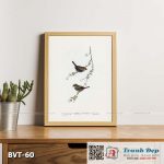 Tranh canvas vintage - Chim di (Estrelda oculea) - BVT-60
