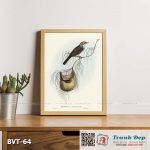 Tranh canvas vintage - Chim ăn mật (Plectorhyncha lanceolata) - BVT-64