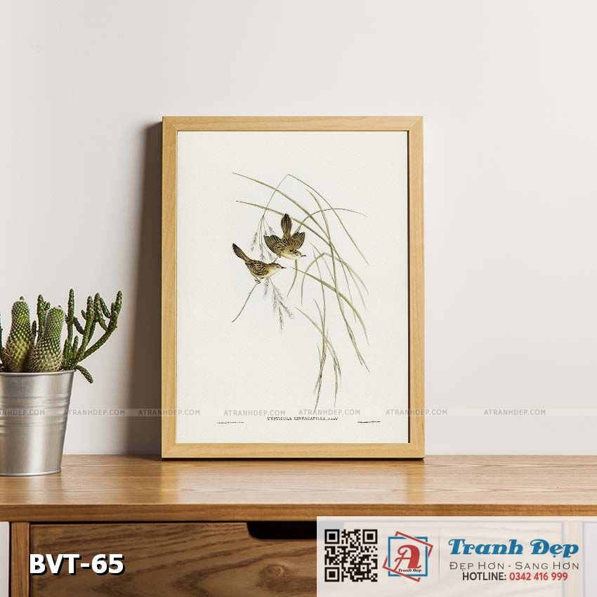 BVT-65-ATD Tranh canvas vintage - Chim sẻ (Cysticola lineocapilla) - BVT-65 - Ảnh 1
