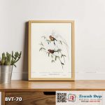 Tranh canvas vintage - Chim di (Poephila personata) - BVT-70