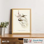 Tranh canvas vintage - Ăn mật lưỡi liềm (Meliphaga Australasiana) - BVT-75