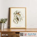 Tranh canvas vintage - Vẹt (Trichoglossus Porphyrocephalus) - BVT-76