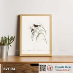 Tranh canvas vintage - Chim di (Donacola castaneothorax) - BVT-24